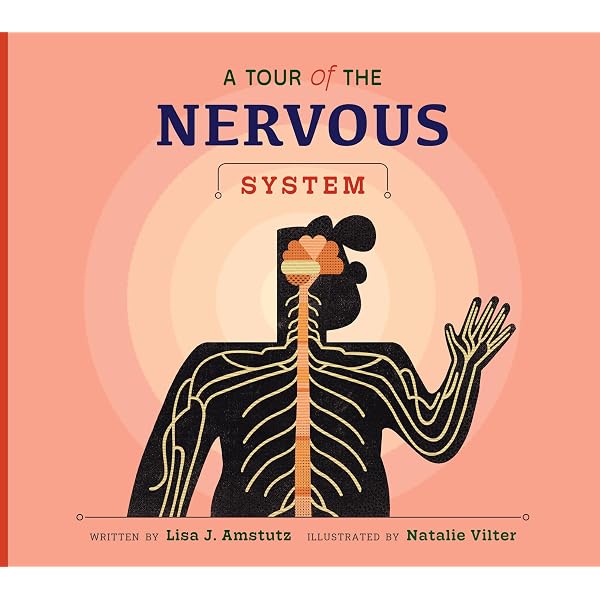 A Tour of the Digestive System (Welcome to Your Body): Amstutz